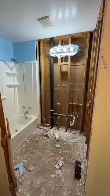 Bathroom demolition