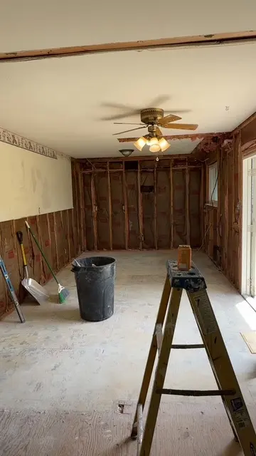 Interior wall and ceiling removal